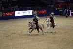 Quadrille - 00307